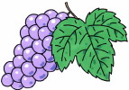 seiiku-grape.jpg