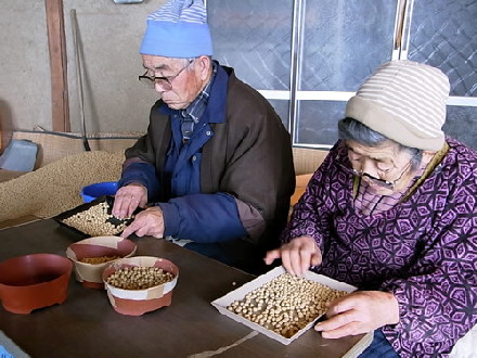 長野県に良質な大豆が存在する理由を求めて｜農畜産物｜長野県の