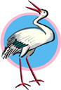 stork.jpg