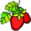 strawberry_mini.jpg