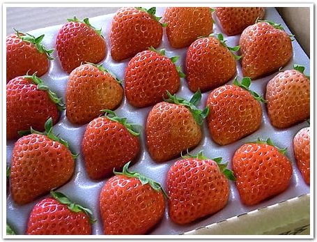 strawberry_top.jpg
