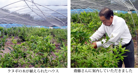 繊維のダイヤモンド 穂高の天蚕糸｜地域情報｜長野県のおいしい食べ方