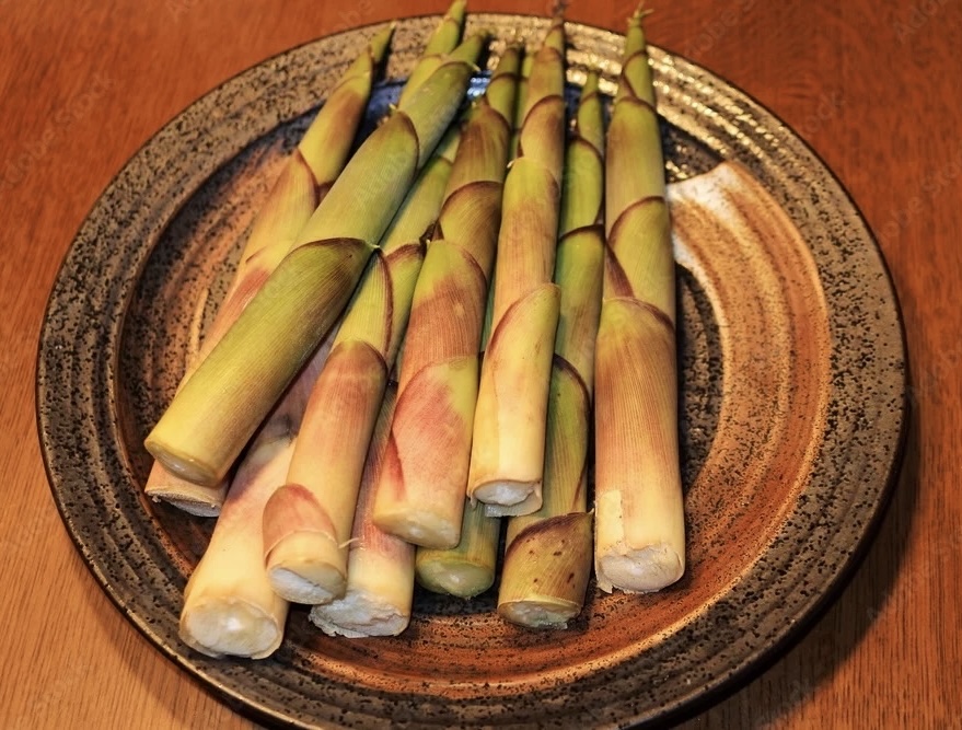 信州人みんな大好き！初夏が旬のネマガリダケ