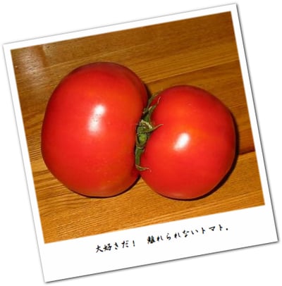 tomato_love.jpg