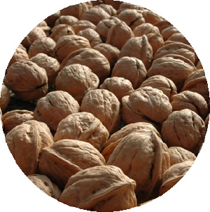wallnuts2.jpg