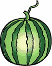 watermelon.jpg