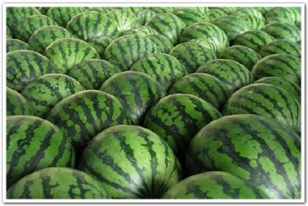 watermelon_summer.jpg