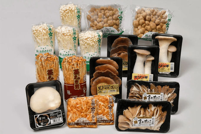 JAnakanoshi_kinokoset-1