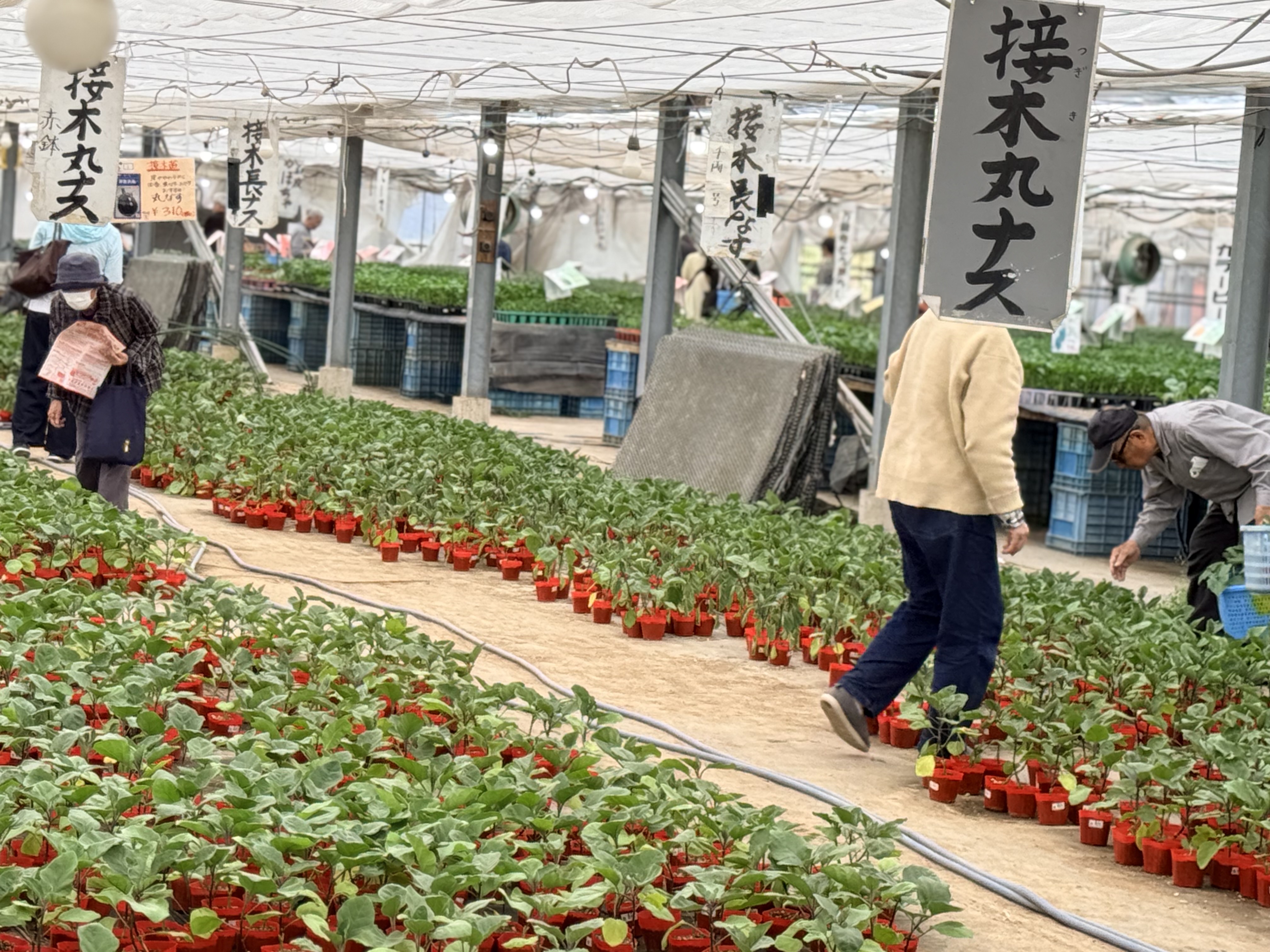 子どもの巣立ちと農作業、慌ただしくも感傷的な春