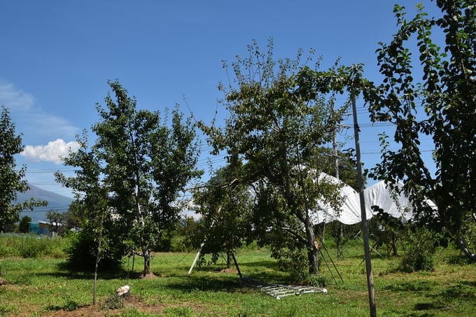 noutiku09-20250903