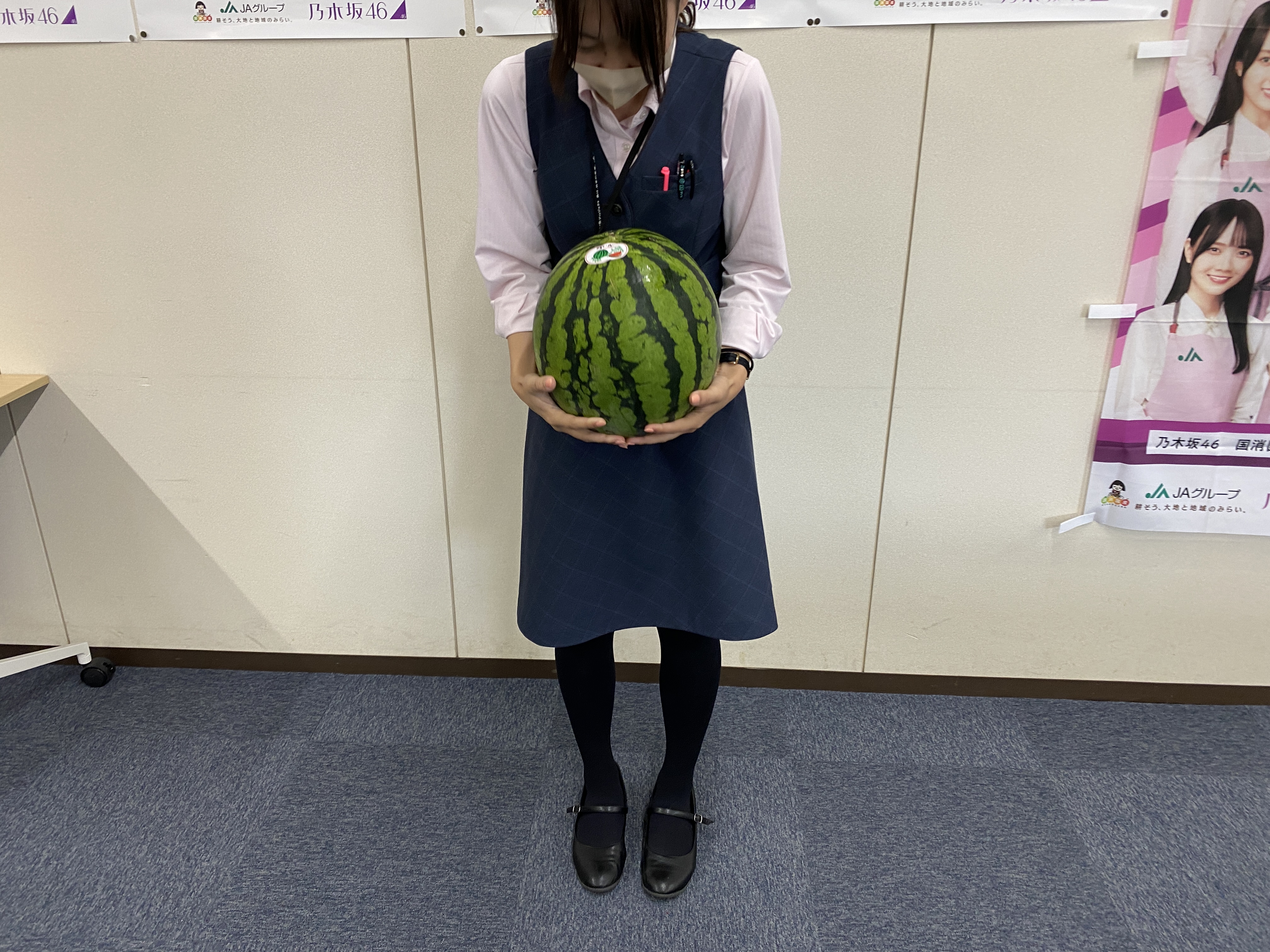 来たれ、信州松本のすいか村！朝採れすいかを求めて