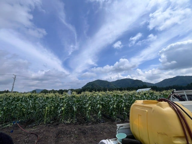 hayasi06-20260805