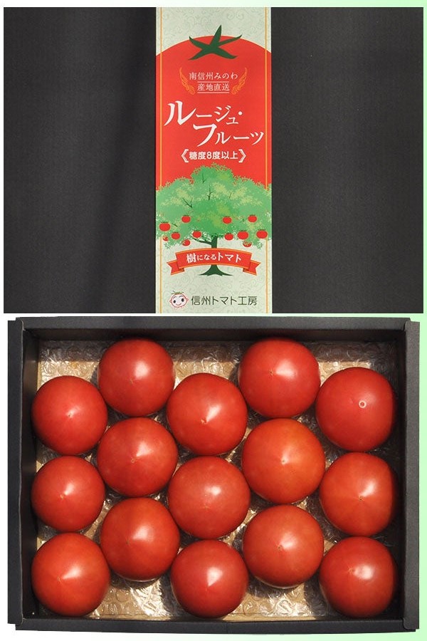 気になるトマトは、木になるトマト