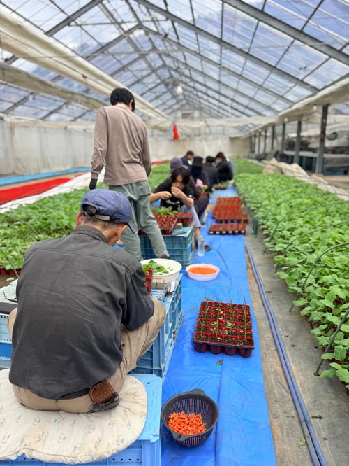 miyazawa01-20260722