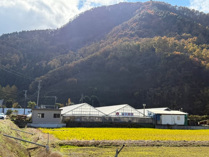 miyazawa03-20250723