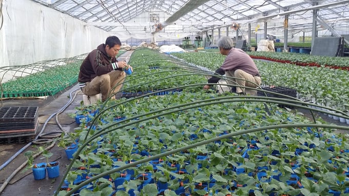 miyazawa04-20250723