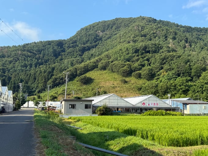 miyazawa06-20250903