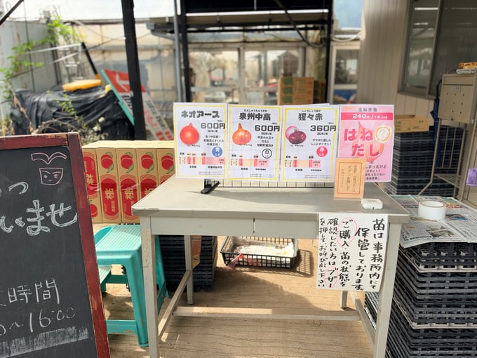miyazawa06-20261021