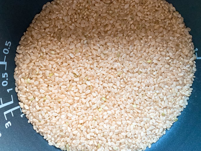 noutiku002-20250711