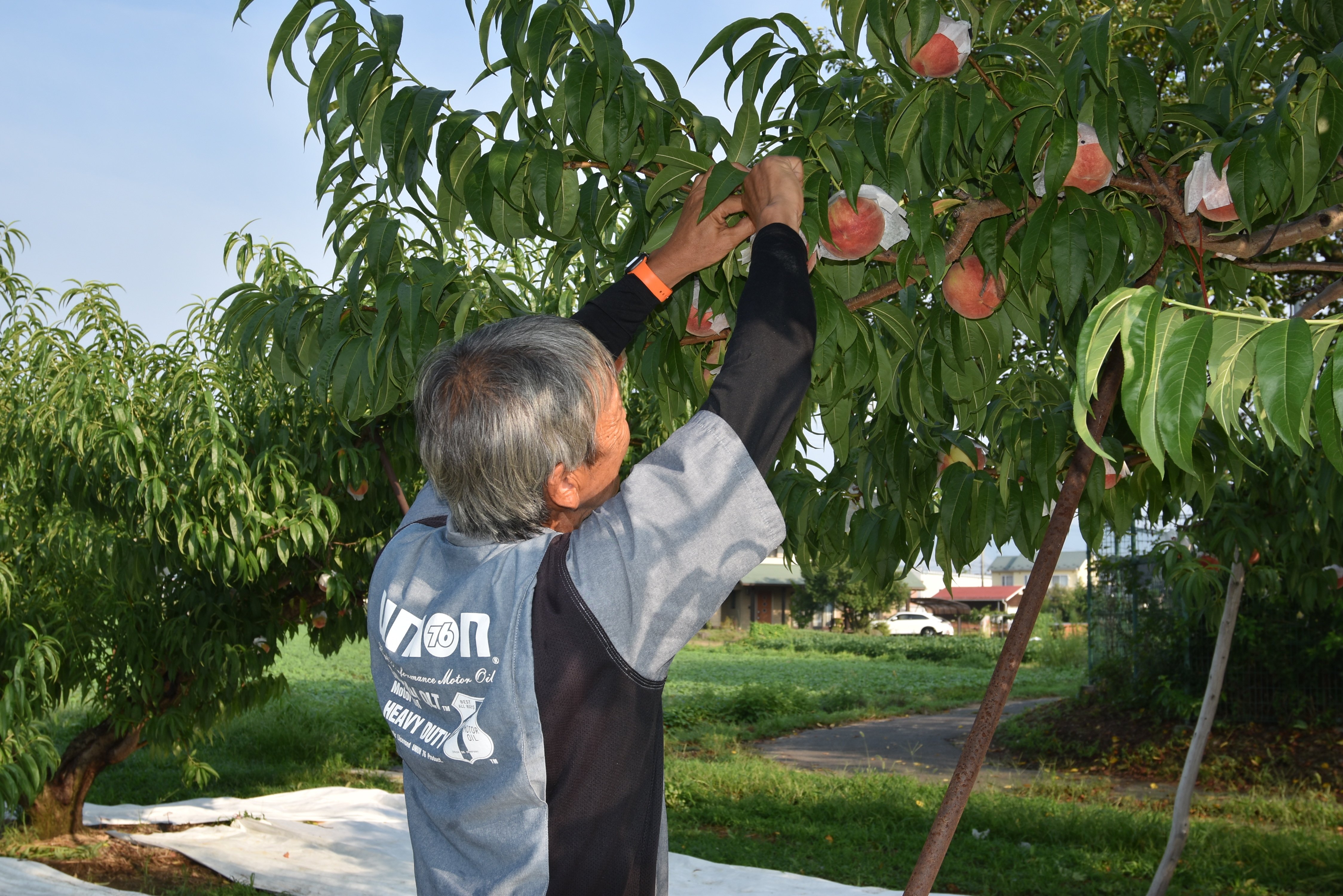 noutiku006-20250903