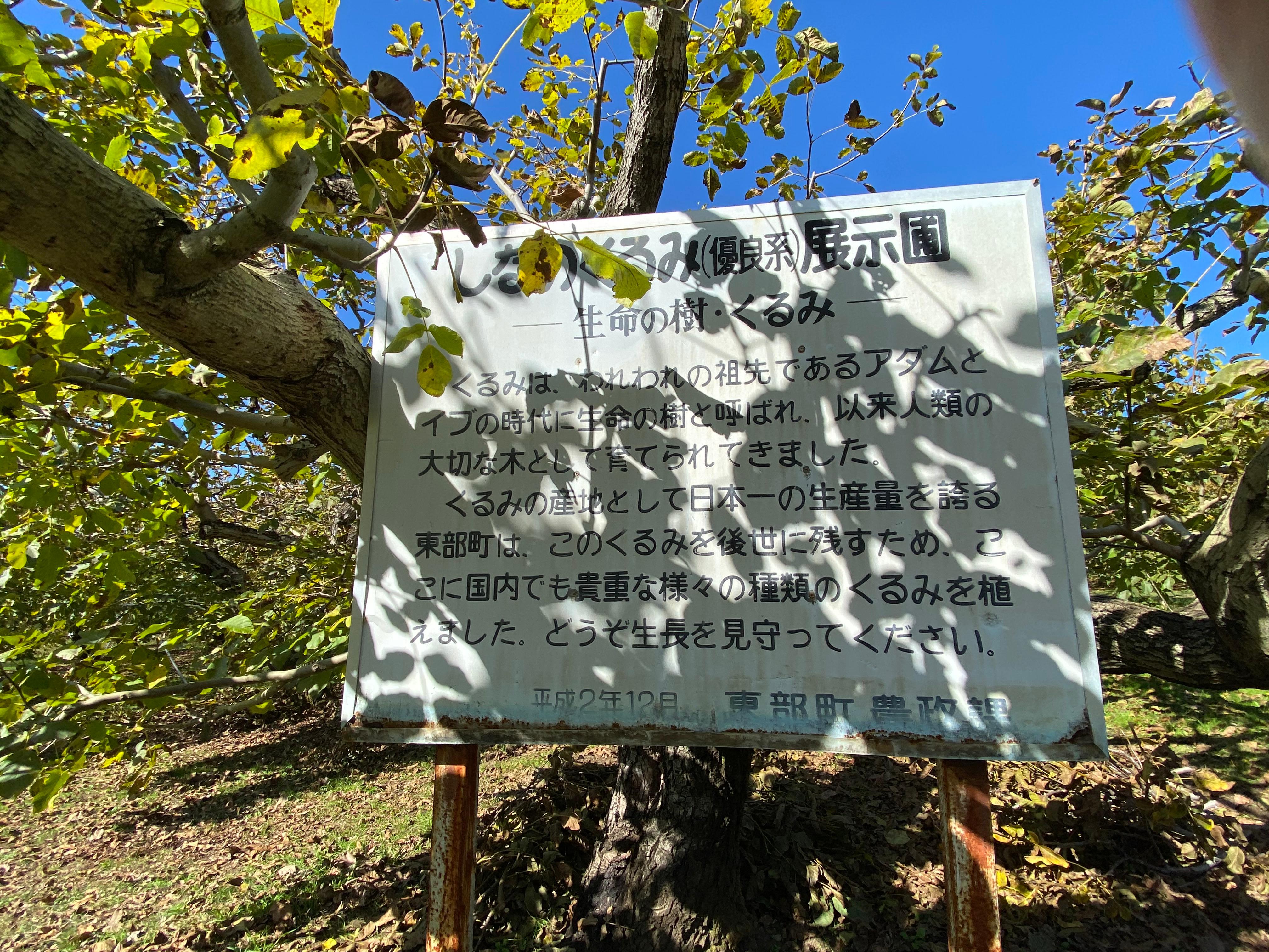 希少な国産クルミを求めて東御市へ