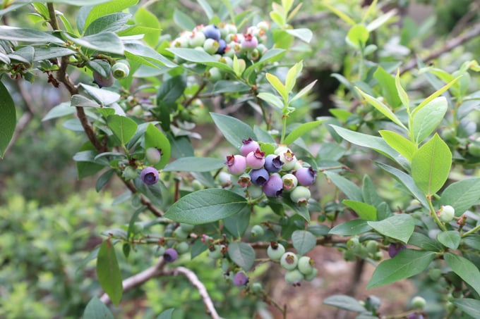 noutiku01-20250625