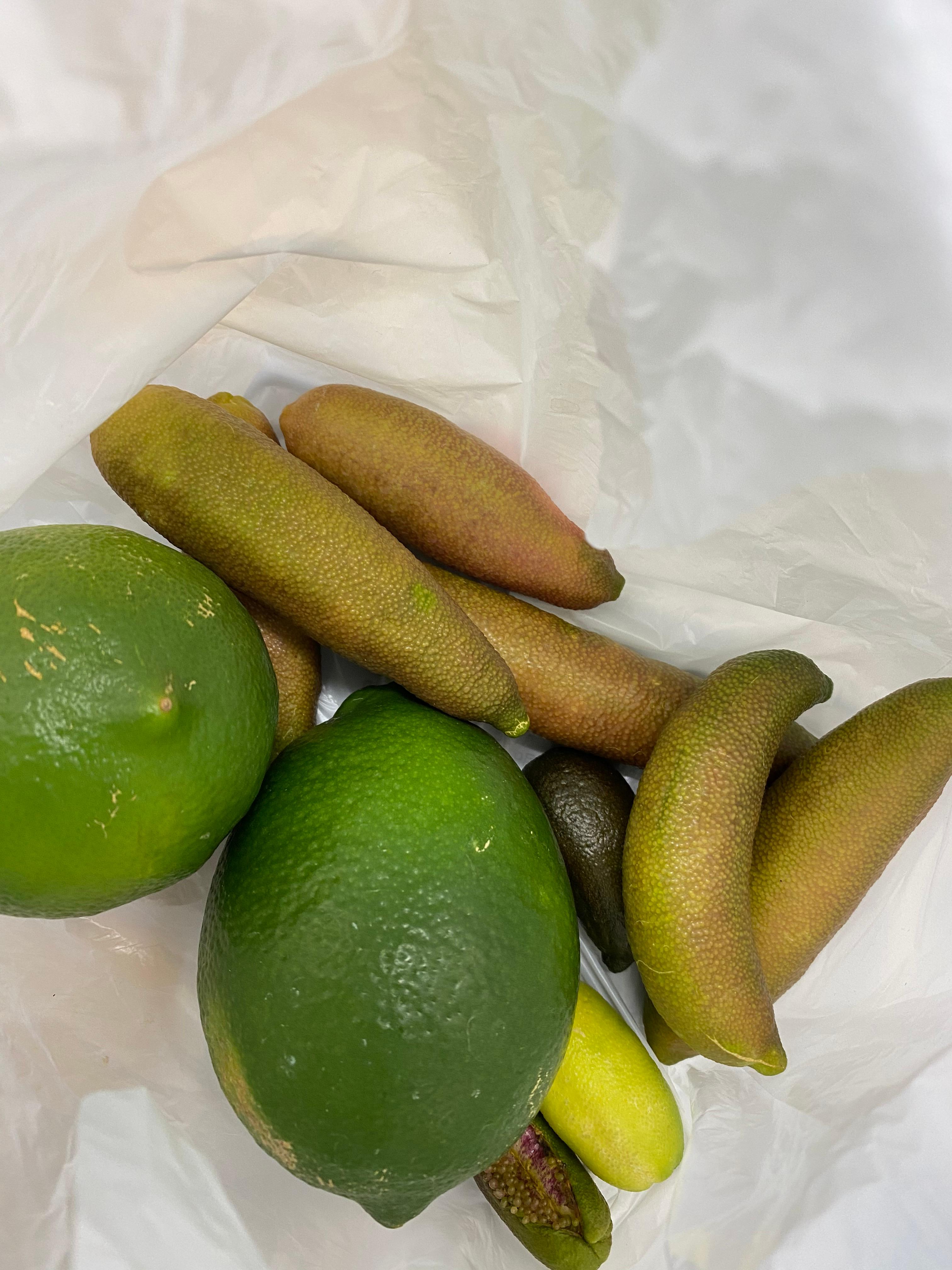 フィンガーライムをご存じですか？