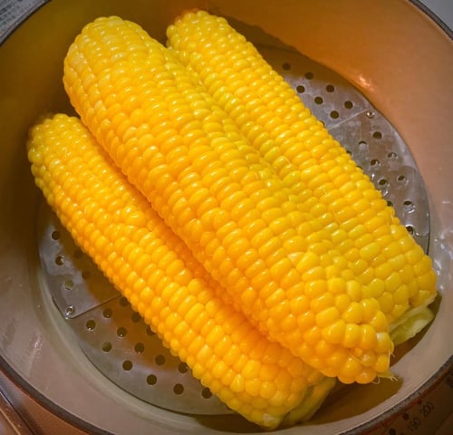 noutiku08-20250820