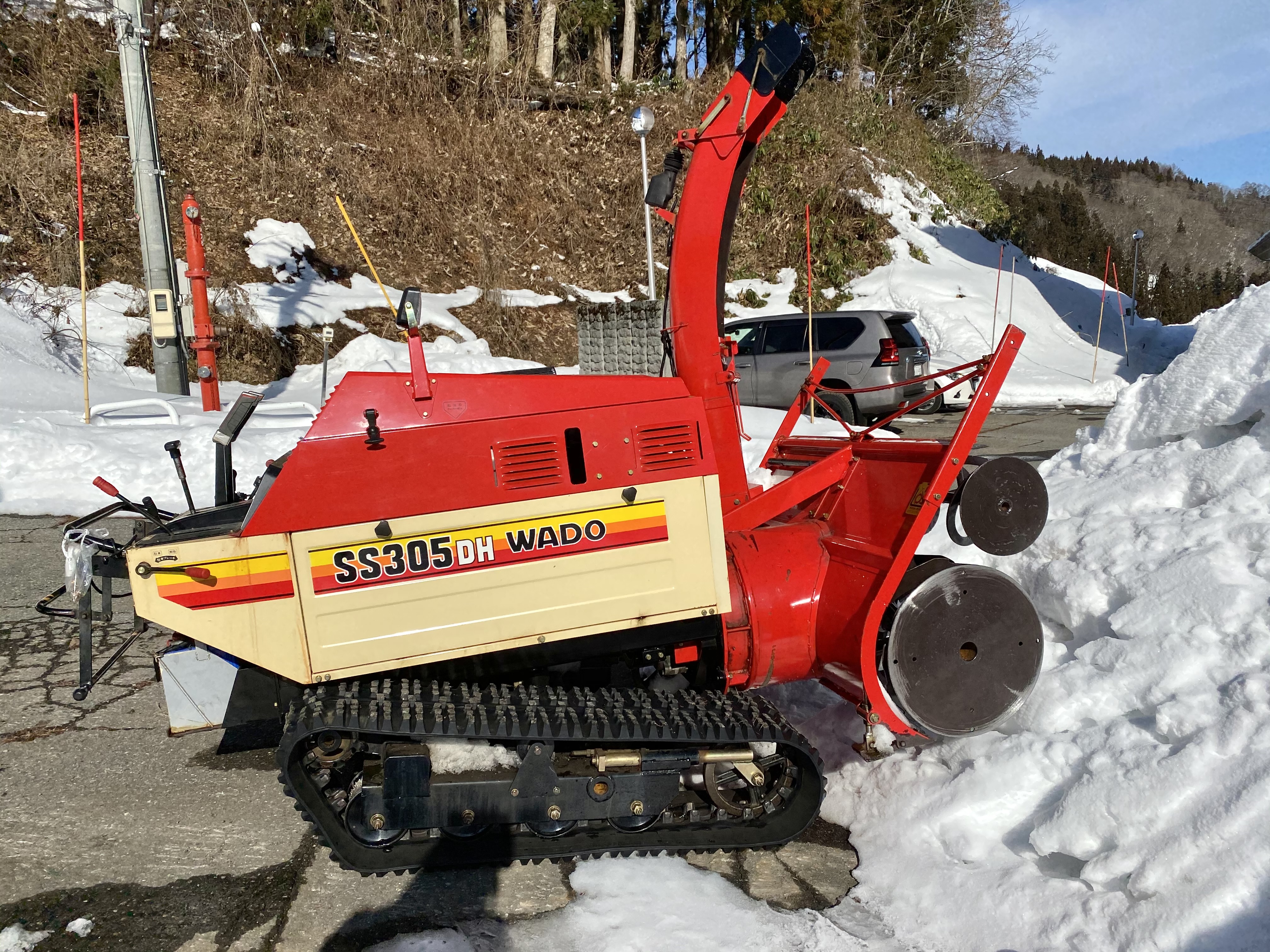 甘くてみずみずしい信州おたり雪中キャベツ