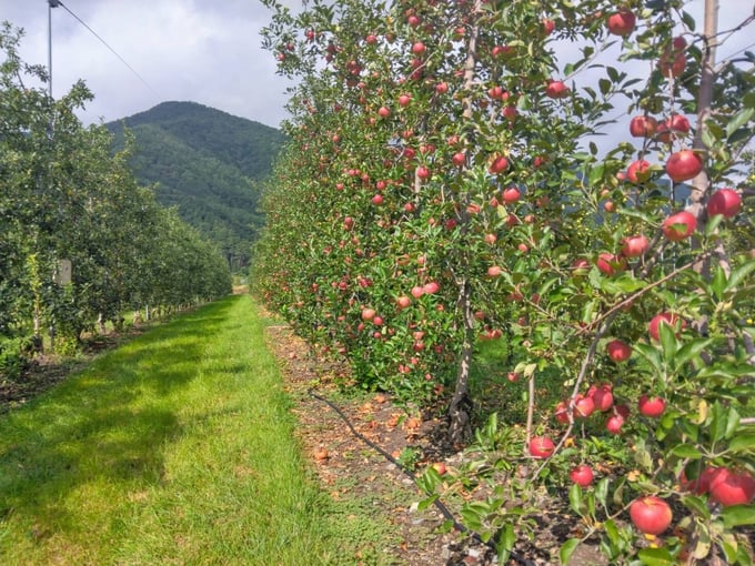 noutiku2-17-20241023