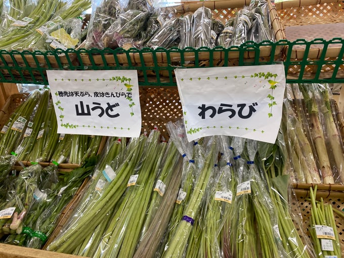 tiiki08-20250528