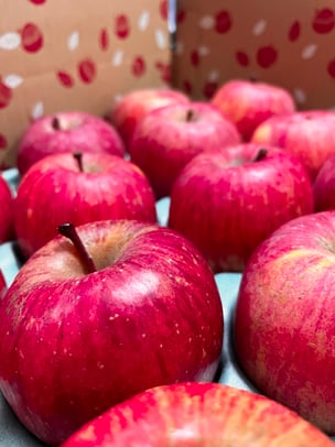 農業女子集合！