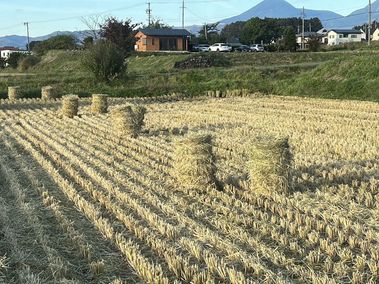 稲刈り後の藁集め。さあ、どうやって？