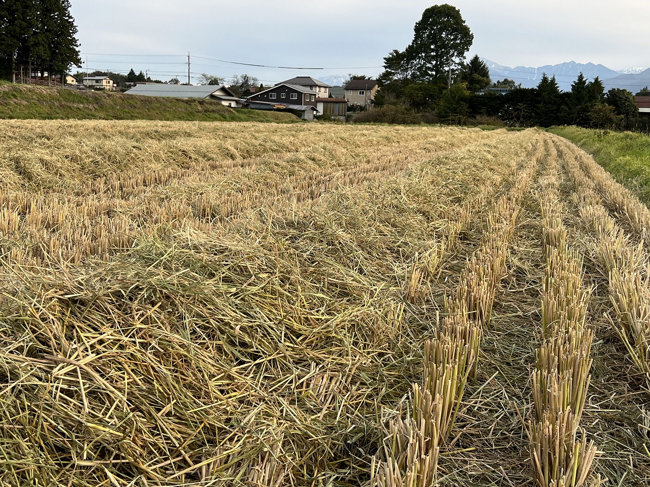 イセキ ウェルガーとわら集め
