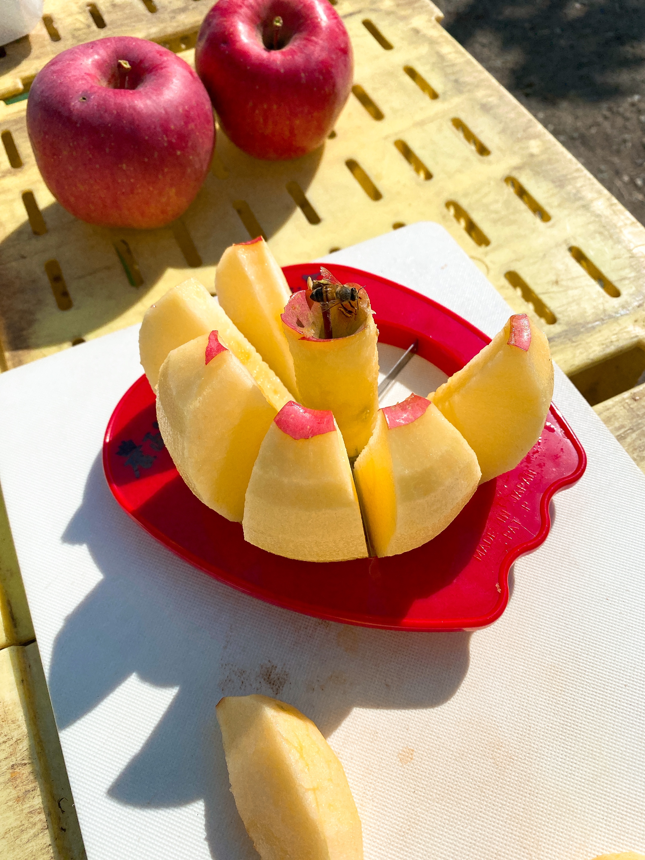 見て！味わって！秋の安曇野満喫ツアーを開催しました