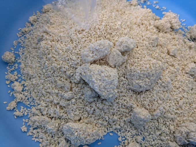 tiiki07-20250723