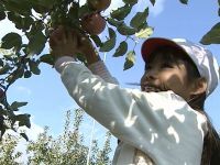 いのちを育てる　地域と交わる