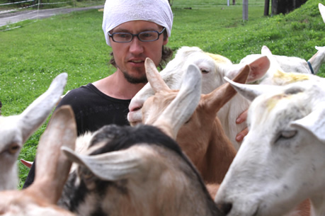 白馬村にしかない特別なヤギのチーズ　後編