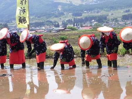 豊作を願う米どころのお田植えまつり