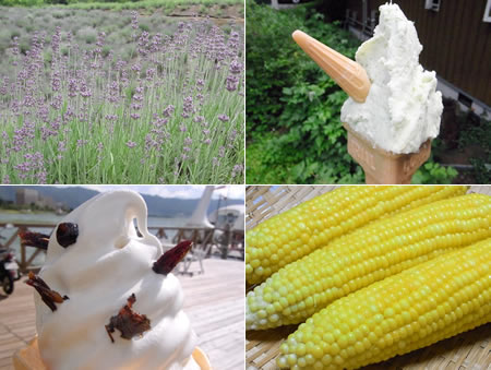 信州ご当地ソフトクリームの旅 前篇