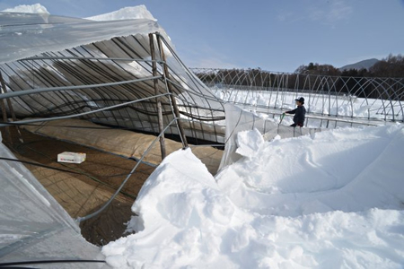 記録更新の大雪特集「困った時はお互い様」