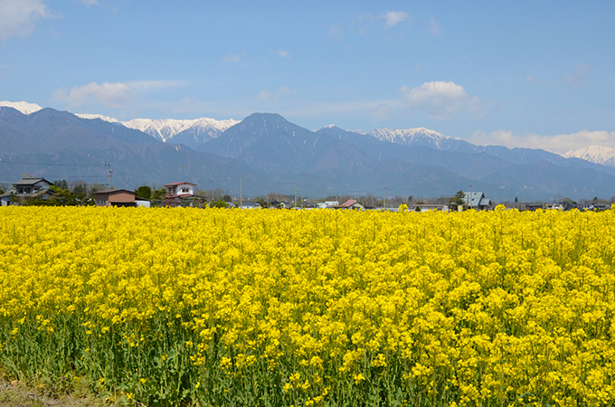 ＧＷに信州を訪れるなら・・・：編集部員のつぶやき