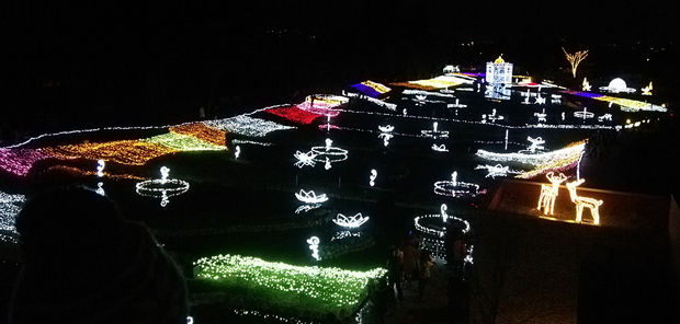 光の森のページェント