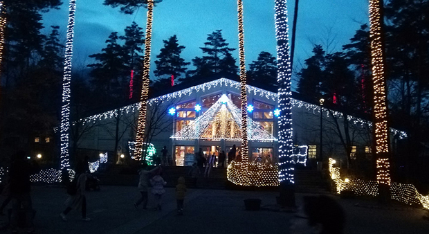 光の森のページェント