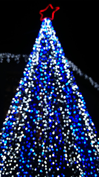 光の森のページェント