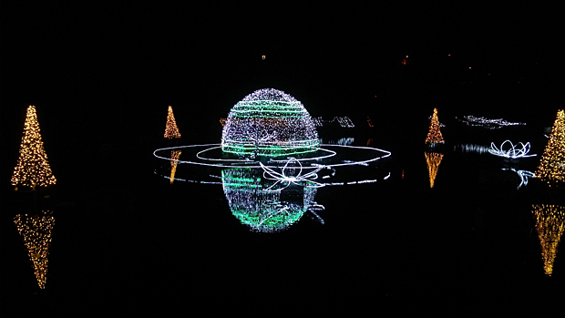 光の森のページェント