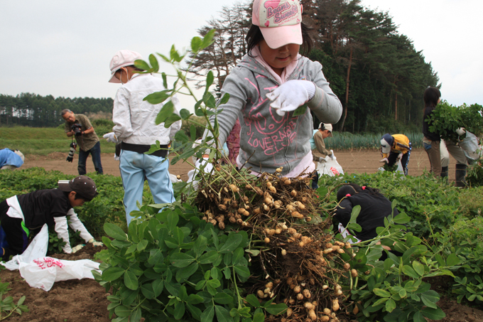 節分から大きくフライト（笑）昭和人の豆の話