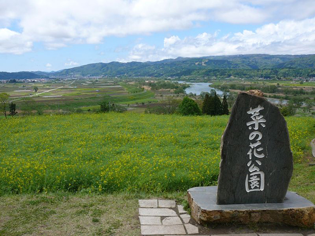 いいやま菜の花まつり