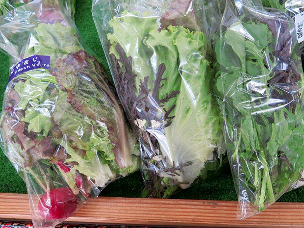 みどりのひろば軽井沢