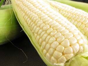 今週は「ホワイトコーン」をプレゼント